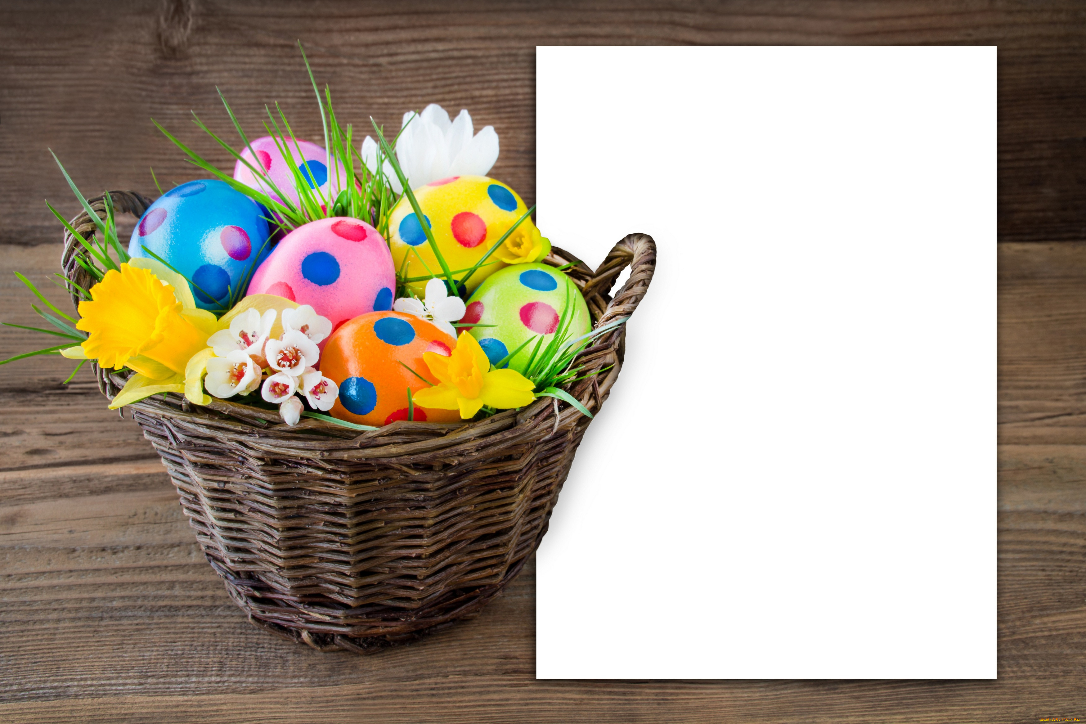 , , , happy, easter, 